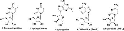 “From Large-Scale Collections to the Potential Use of Genomic Techniques for Supply of Drug Candidates”